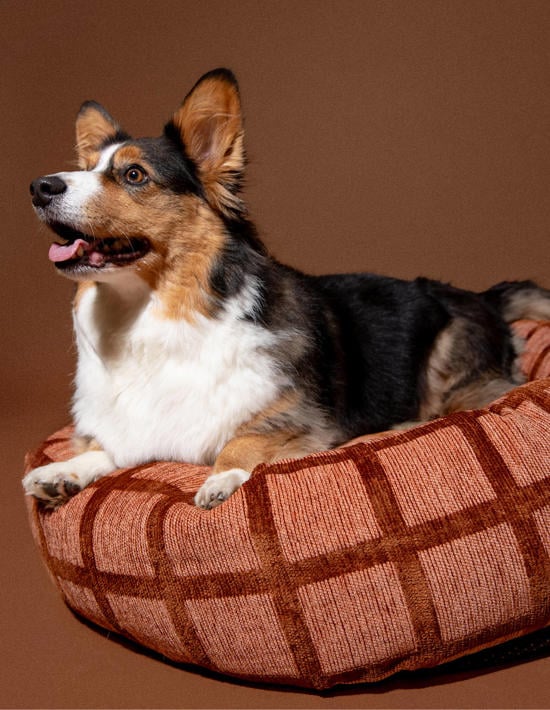 Dogguo hondenkussens