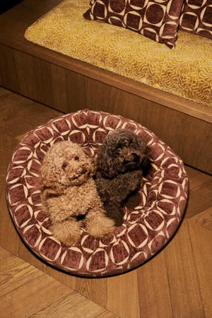 Hondenmand rond SQUARE-CIRCLE-ROUND-BED-BROWN/YELLOW-M