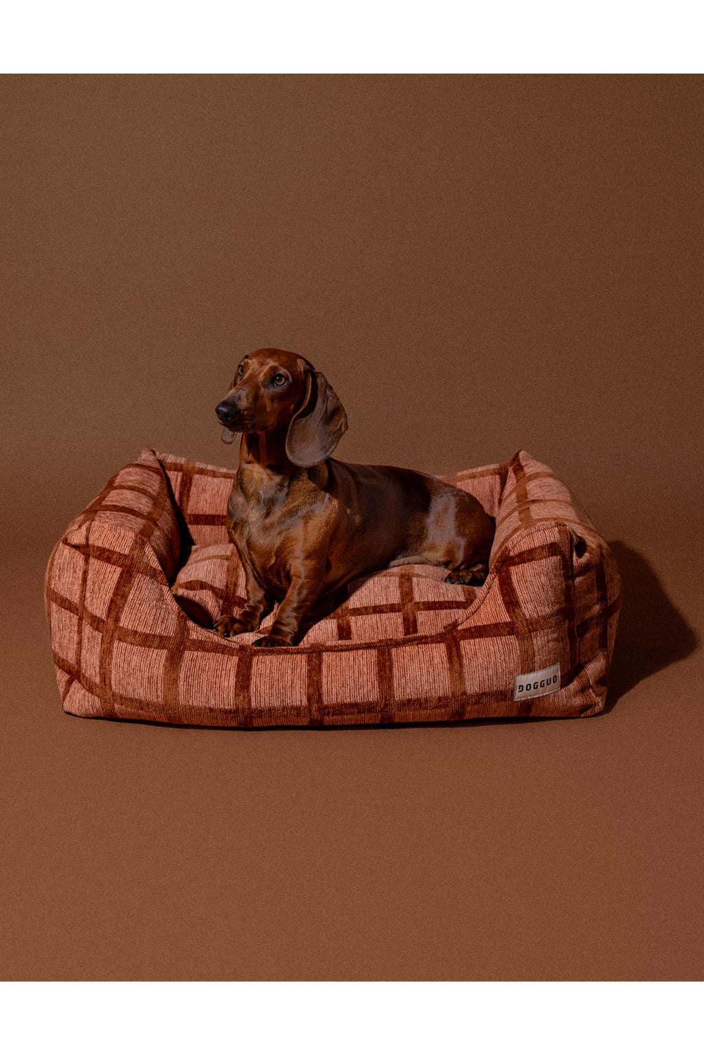 Dogguo Hondenmand CHECK-SOFA-MOCHA/BROWN-M
