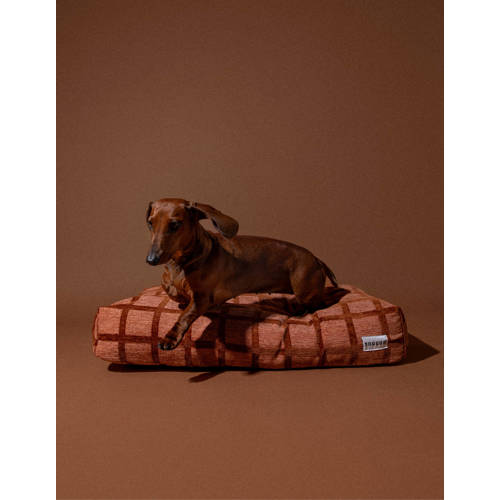 Dogguo Hondenkussen CHECK-BED-MOCHA/BROWN-M afbeelding