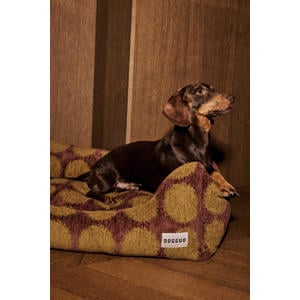 Hondenmand DOT-SOFA-BROWN/GREEN-M