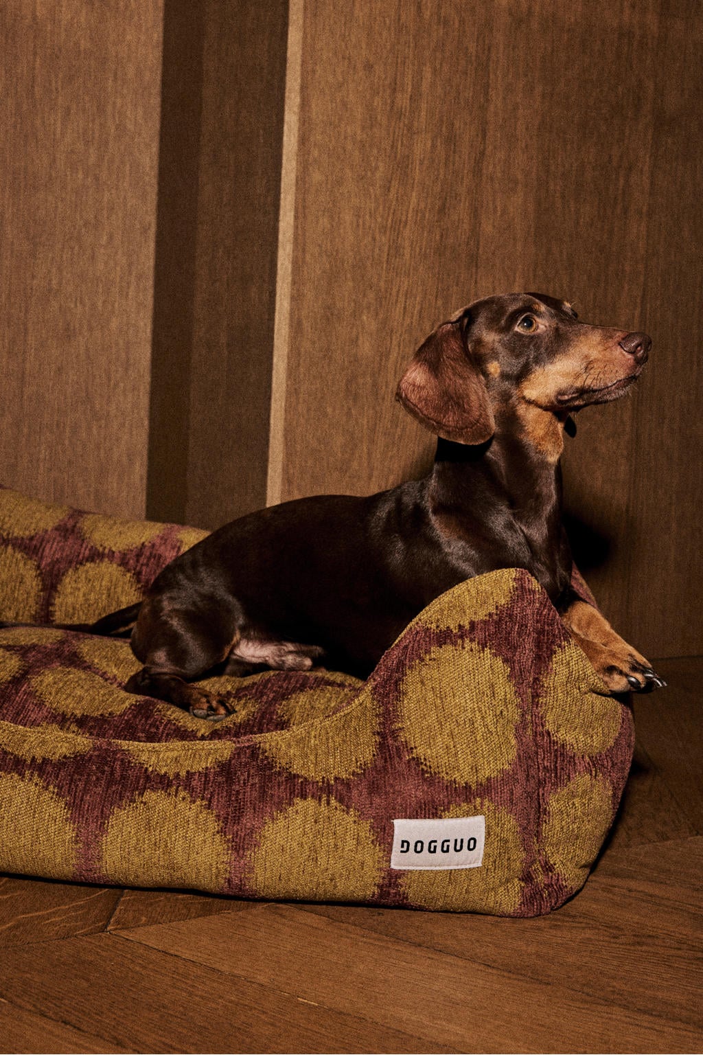 Dogguo Hondenmand DOT-SOFA-BROWN/GREEN-M