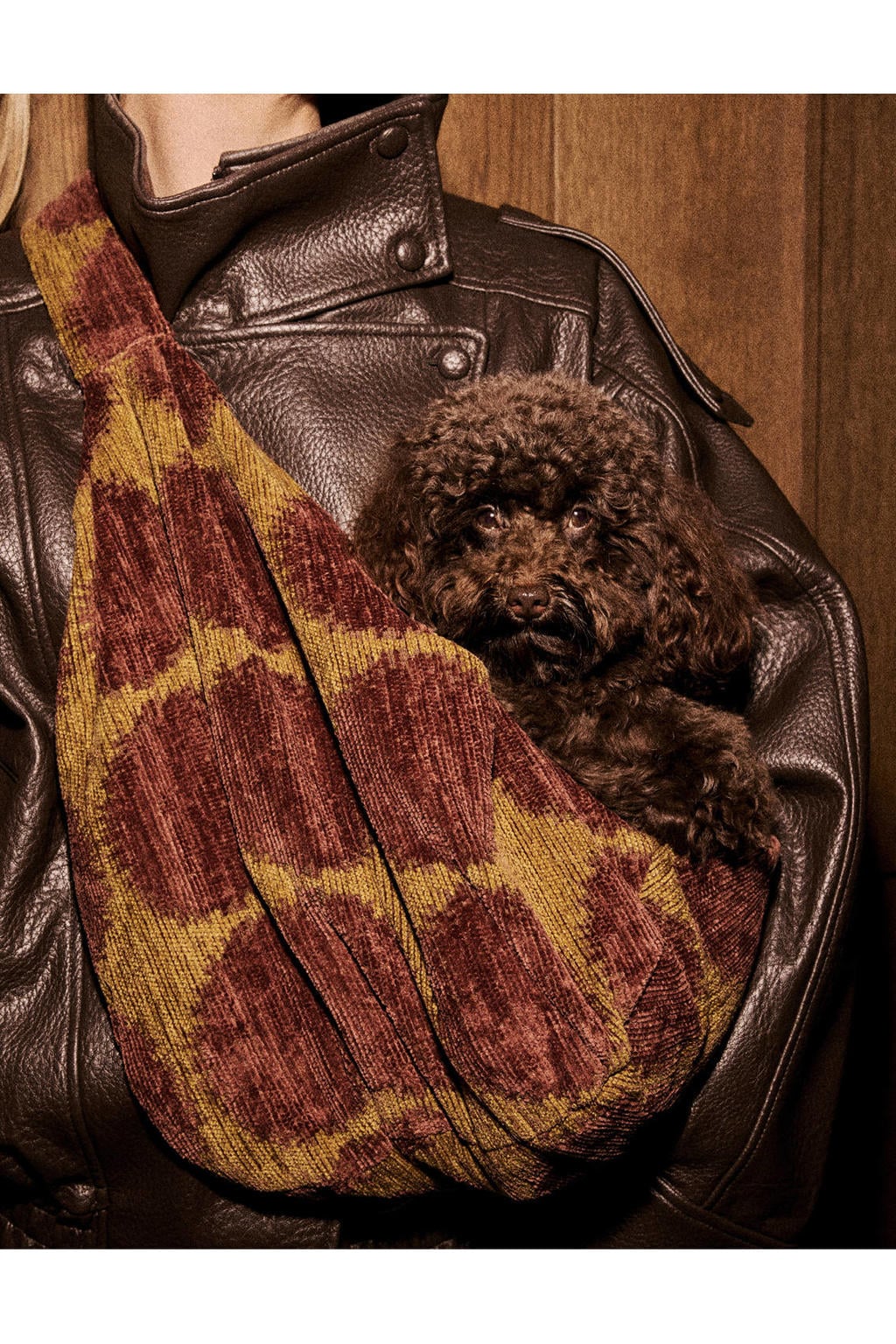 Dogguo Hondentas / kattentas DOT-CARRIER-BROWN/GREEN
