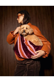 thumbnail: Dogguo Hondentas / kattentas STRIPE-CARRIER-BORDEAUX/ORANGE/PINK
