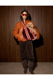 thumbnail: Dogguo Hondentas / kattentas STRIPE-CARRIER-BORDEAUX/ORANGE/PINK