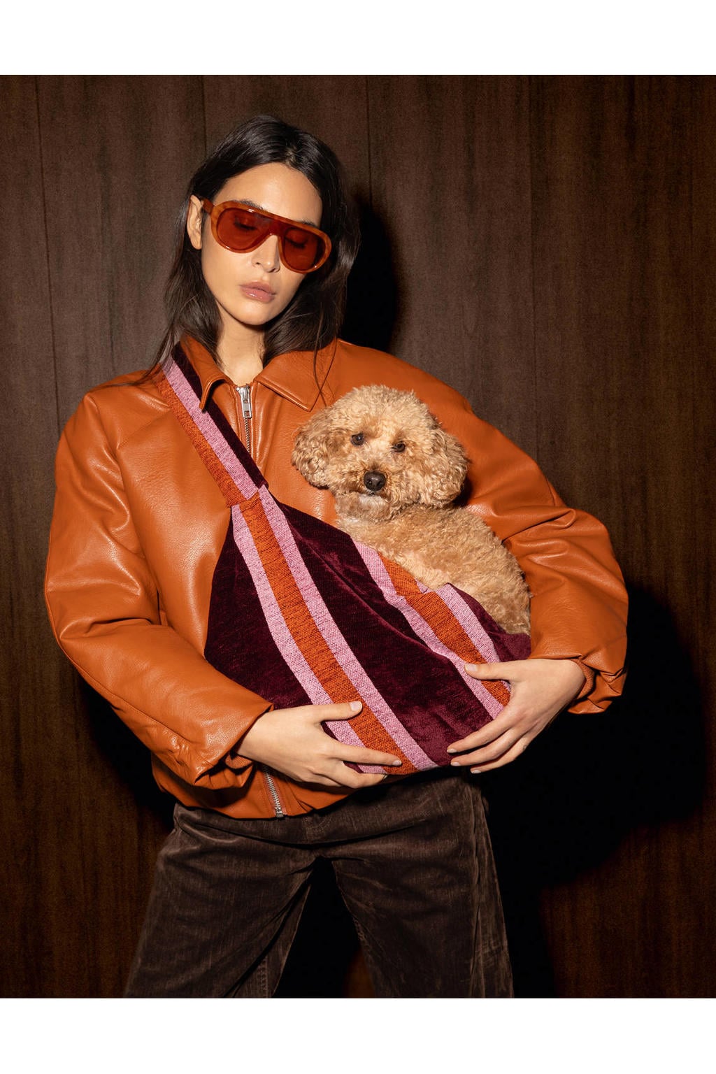 Dogguo Hondentas / kattentas STRIPE-CARRIER-BORDEAUX/ORANGE/PINK