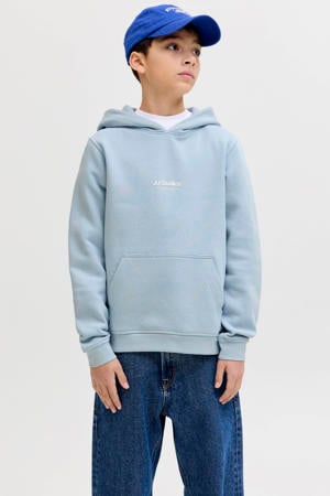 hoodie lichtblauw
