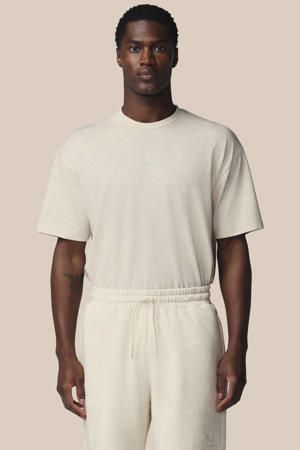 T-shirt lichtgrijs