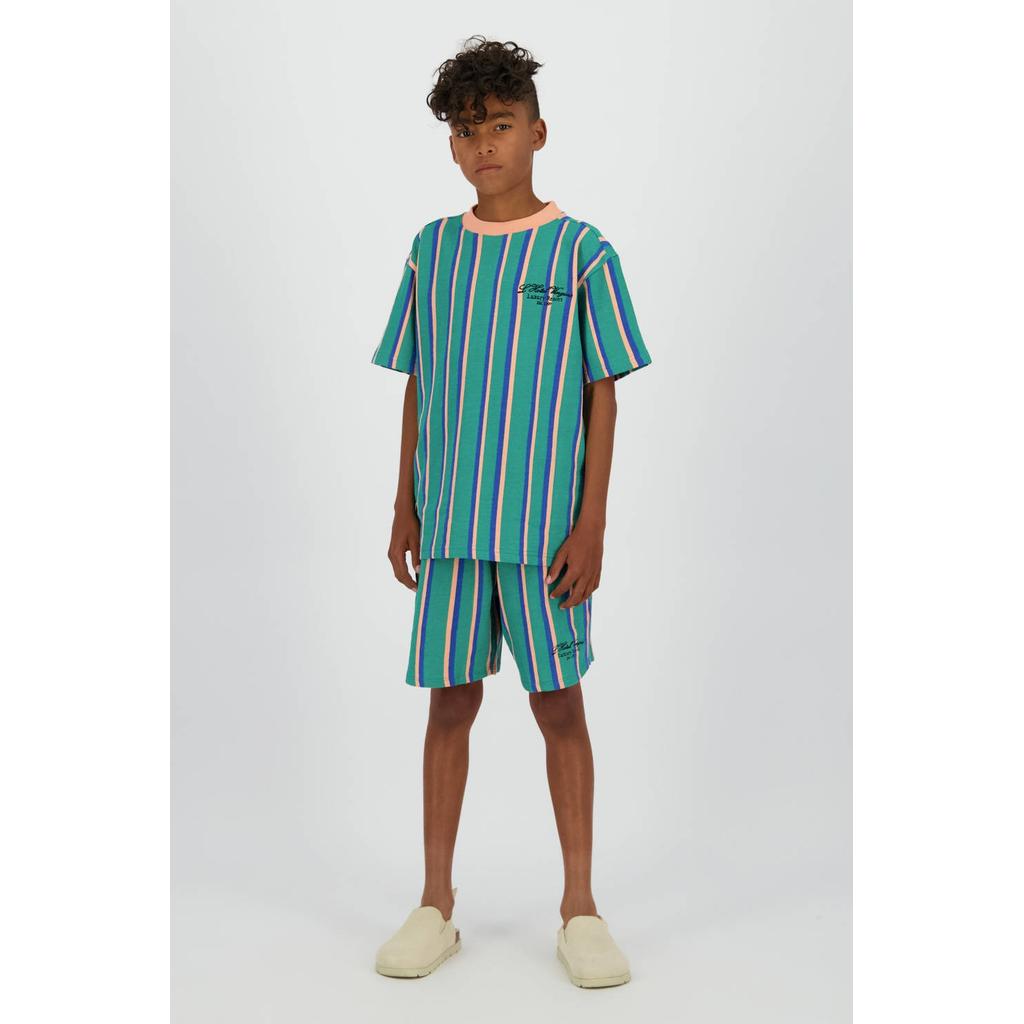 Groen, zalm en blauwe jongens Vingino T-shirt van katoen met strepenprint, korte mouwen en ronde hals