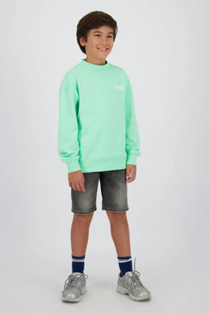 regular waist short grey denim