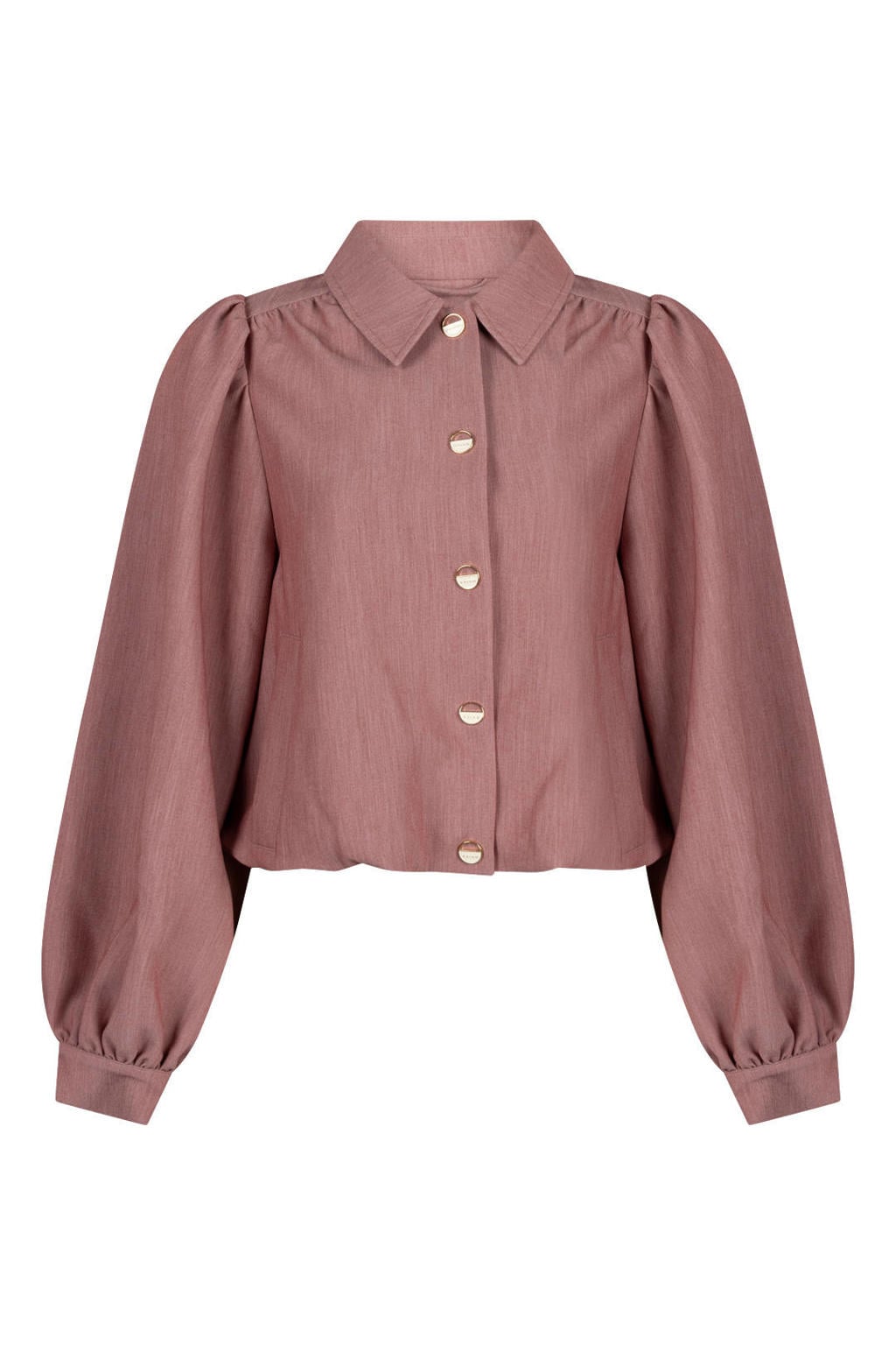 Oudroze dames Aaiko blouse van polyester met effen, lange mouwen, klassieke kraag, knoopsluiting en glimmend detail