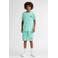 Petrol Industries T-shirt mintgroen