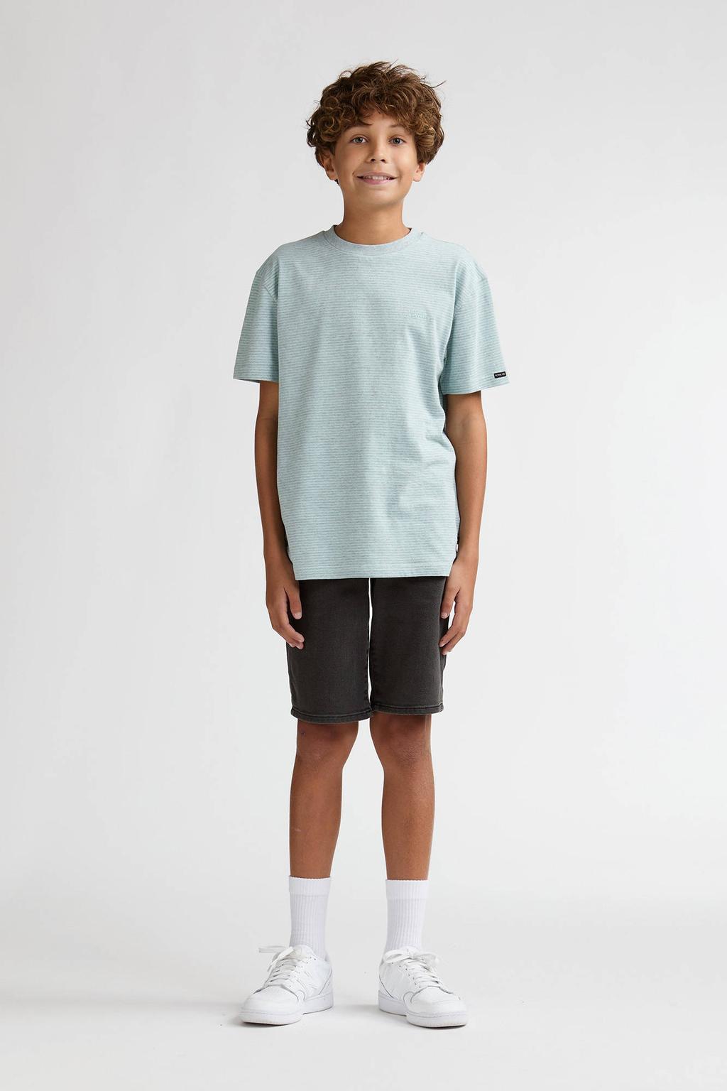 Mintgroene jongens Petrol Industries gestreepte T-shirt van katoen met korte mouwen en ronde hals