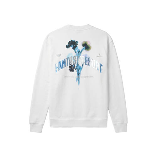 Aeden sweater met backprint ecru afbeelding