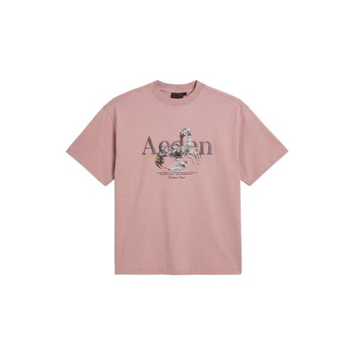 Aeden regular T-shirt roze afbeelding