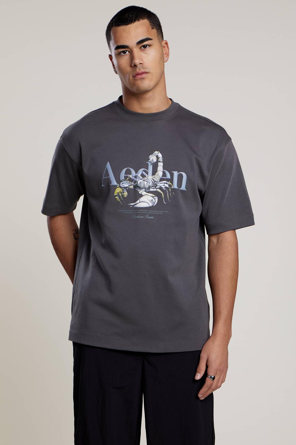 Grijze heren Aeden regular T-shirt van katoen met printopdruk, korte mouwen en ronde hals