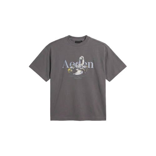 Aeden regular T-shirt grijs afbeelding