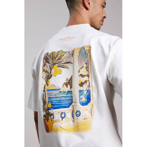 Aeden oversized T-shirt met backprint wit afbeelding