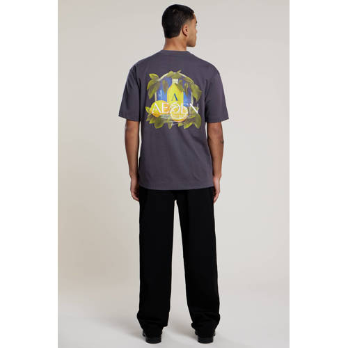 Aeden regular T-shirt met backprint grijs afbeelding