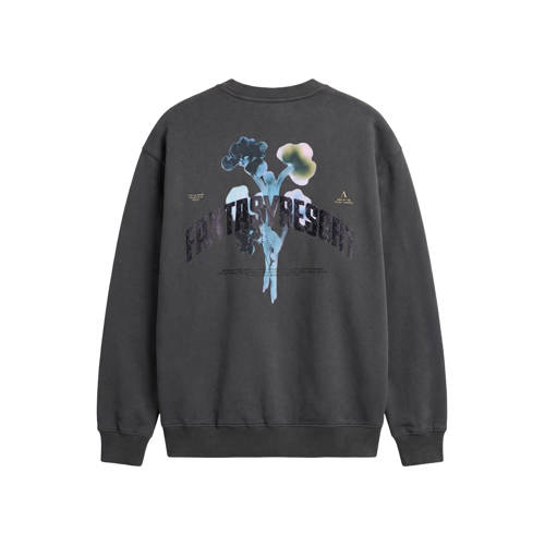 Aeden sweater met backprint grijs afbeelding