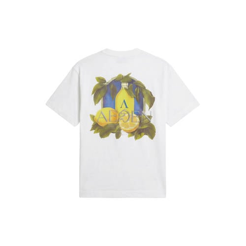 Aeden regular T-shirt met backprint wit afbeelding