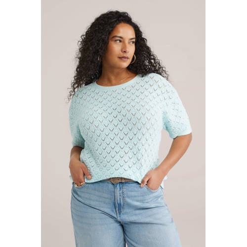 WE Fashion top lichtblauw gebreid afbeelding