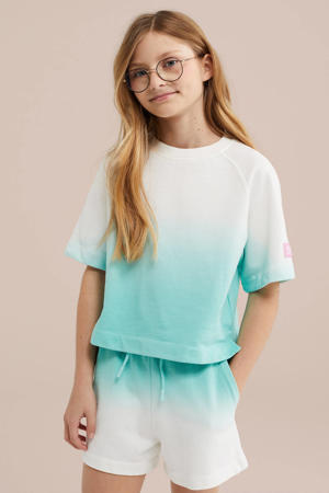 sweater turquoise/wit
