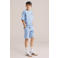 WE Fashion Blue Ridge T-shirt lichtblauw