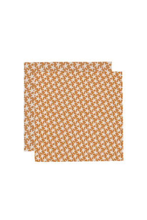 hydrofiele doek (set van 2)