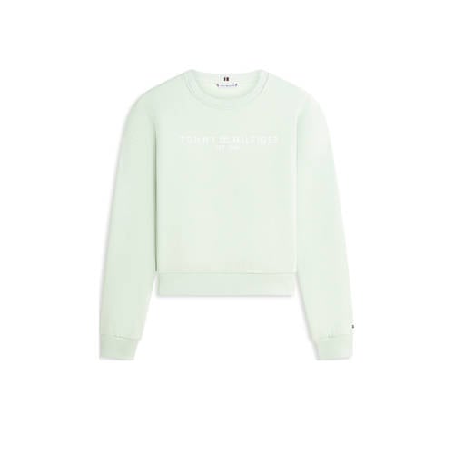 Tommy Hilfiger sweater afbeelding