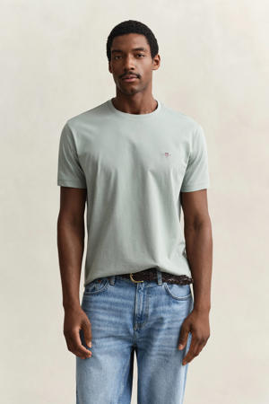regular T-shirt lichtgroen