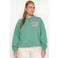 Colourful Rebel Curve sweater groen
