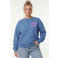 Colourful Rebel Curve sweater blauw