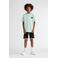 Petrol Industries T-shirt mintgroen