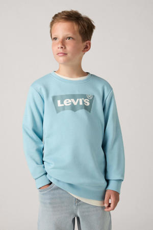 sweater blauw
