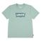 Levi's T-shirt groen