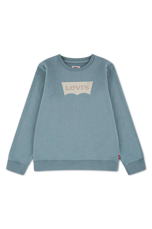 sweater blauw