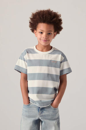 gestreepte T-shirt blauw