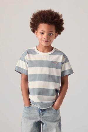 gestreepte T-shirt blauw