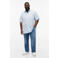 Tommy Hilfiger Big & Tall regular gestreept casual overhemd lichtblauw
