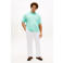 Tommy Hilfiger Big & Tall regular polo Plus Size groen