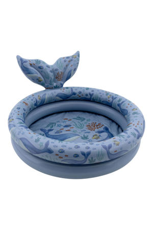 ocean world zwembad 80cm