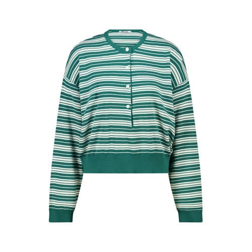 America Today gestreepte sweater groen afbeelding