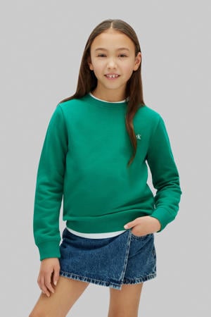 sweater groen