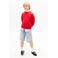 Tommy Hilfiger sweater rood