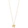PILGRIM gold plated ketting Ajani