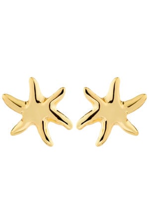 gold pated oorbellen Prism