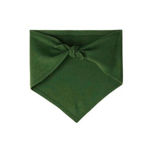 triangle scarf groen
