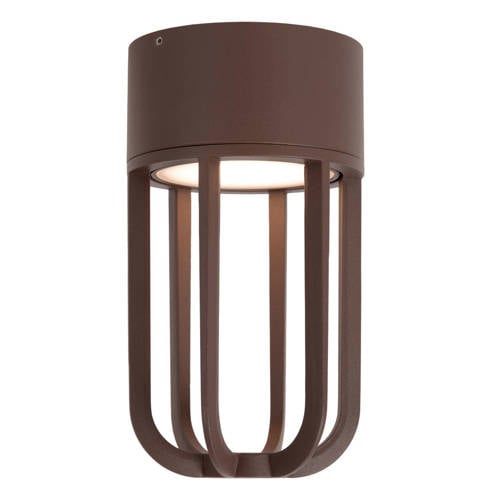 Lucide WELLS - Plafonnière Binnen/Buiten Adapter/lichtnet afbeelding