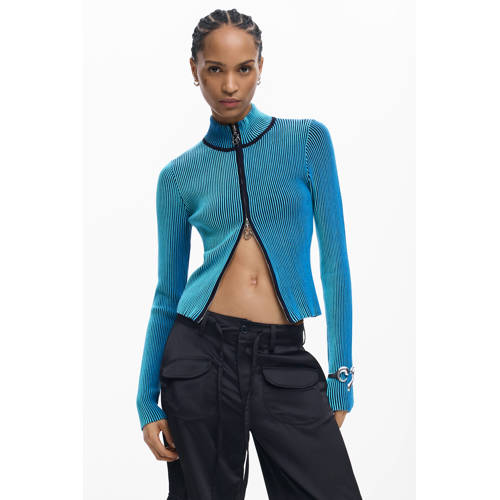 Desigual gestreepte sweatvest blauw rib gebreid afbeelding